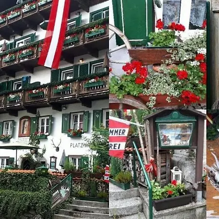 Platzhirsch Zur Alten Wagnerei Gastehaus Panzió