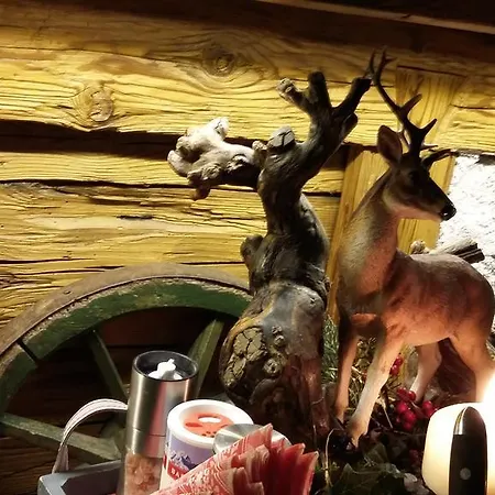 Platzhirsch Zur Alten Wagnerei Gastehaus Bed & Breakfast