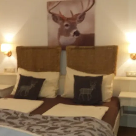Platzhirsch Zur Alten Wagnerei Gaestehaus 3* Saint Wolfgang