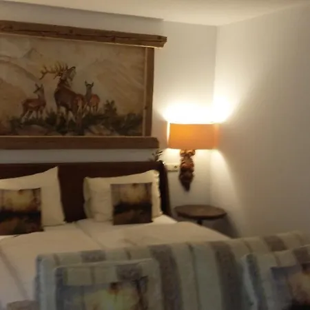 Platzhirsch Zur Alten Wagnerei Gastehaus 3*