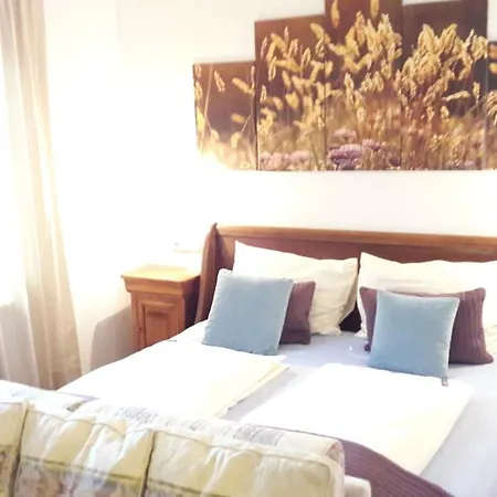 Platzhirsch Zur Alten Wagnerei Gaestehaus Bed & Breakfast Saint Wolfgang