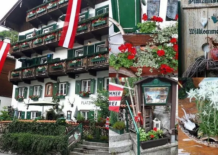 Platzhirsch Zur Alten Wagnerei Gastehaus Panzió