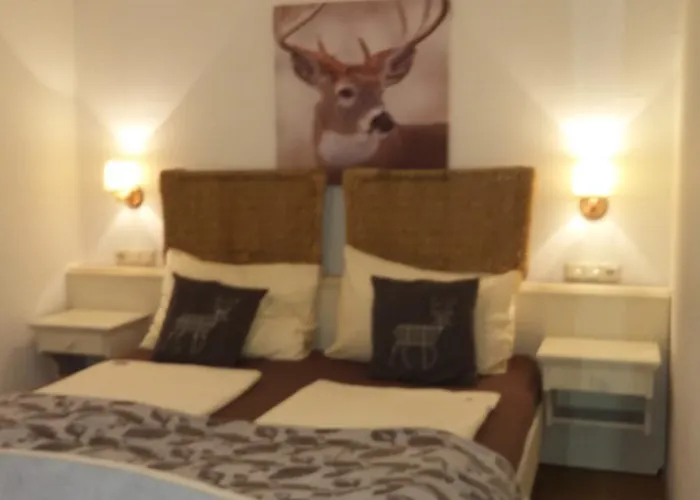 Platzhirsch Zur Alten Wagnerei Gastehaus 3* Saint Wolfgang