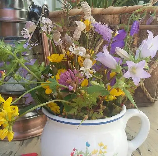 Platzhirsch Zur Alten Wagnerei 3* Saint Wolfgang