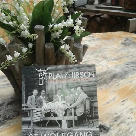 Platzhirsch Zur Alten Wagnerei Frühstückspension 3*