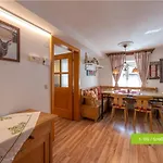 플라츠허쉬 주어 알튼 바그너라이