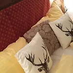 플라츠허쉬 주어 알튼 바그너라이 B&B