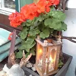 플라츠허쉬 주어 알튼 바그너라이 B&B Saint Wolfgang