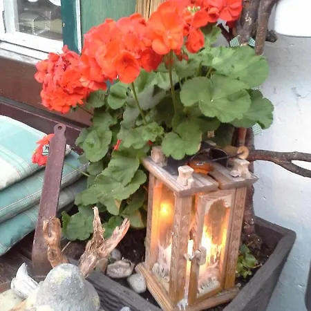 Platzhirsch Zur Alten Wagnerei Gastehaus Bed & Breakfast Saint Wolfgang