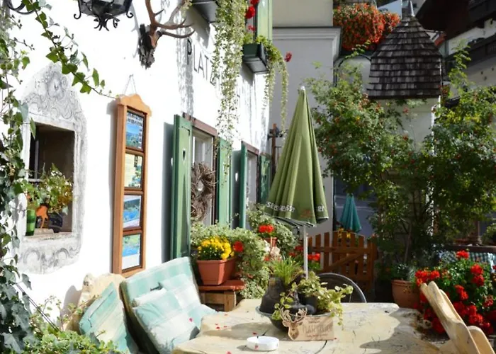 Bed & Breakfast Platzhirsch Zur Alten Wagnerei Gastehaus