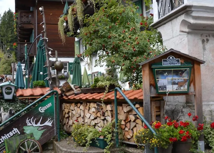 Platzhirsch Zur Alten Wagnerei Gastehaus 3*