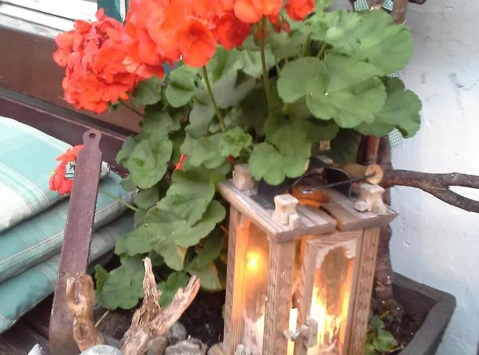 Platzhirsch Zur Alten Wagnerei Gastehaus Bed & Breakfast Saint Wolfgang